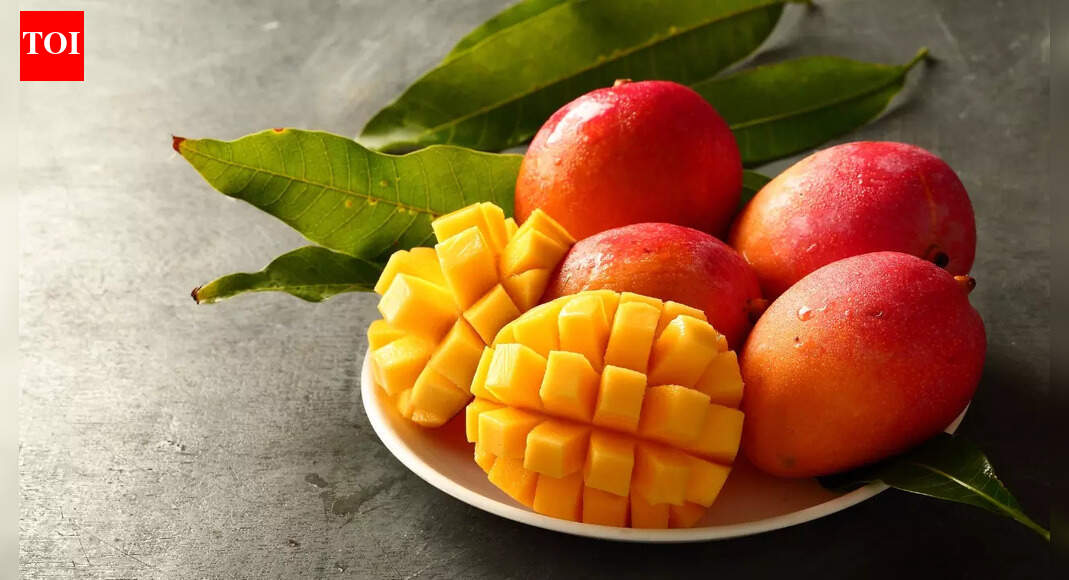 India’s Mango Tourism Boom: Here’s Where You Can Travel and Taste the Best