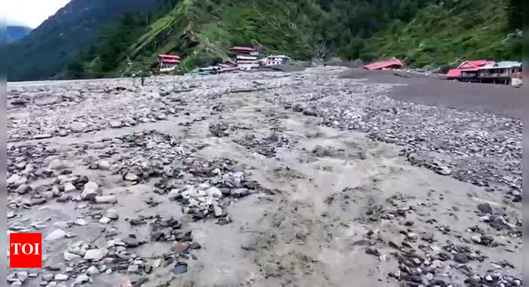 24 college friends, reunited after 35 years for Uttarkashi trip, missing