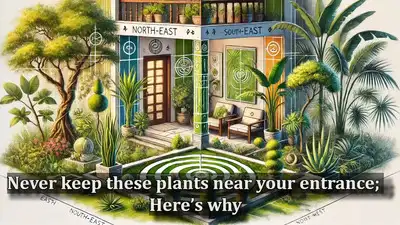Never keep these plants near your entrance; Here’s why