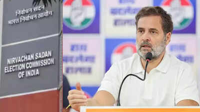 'Not one has filed a complaint': BJP slams Rahul Gandhi for ‘baseless’ voter list claims; CPI backs Congress’ charge saying, 'EC not a holy cow'