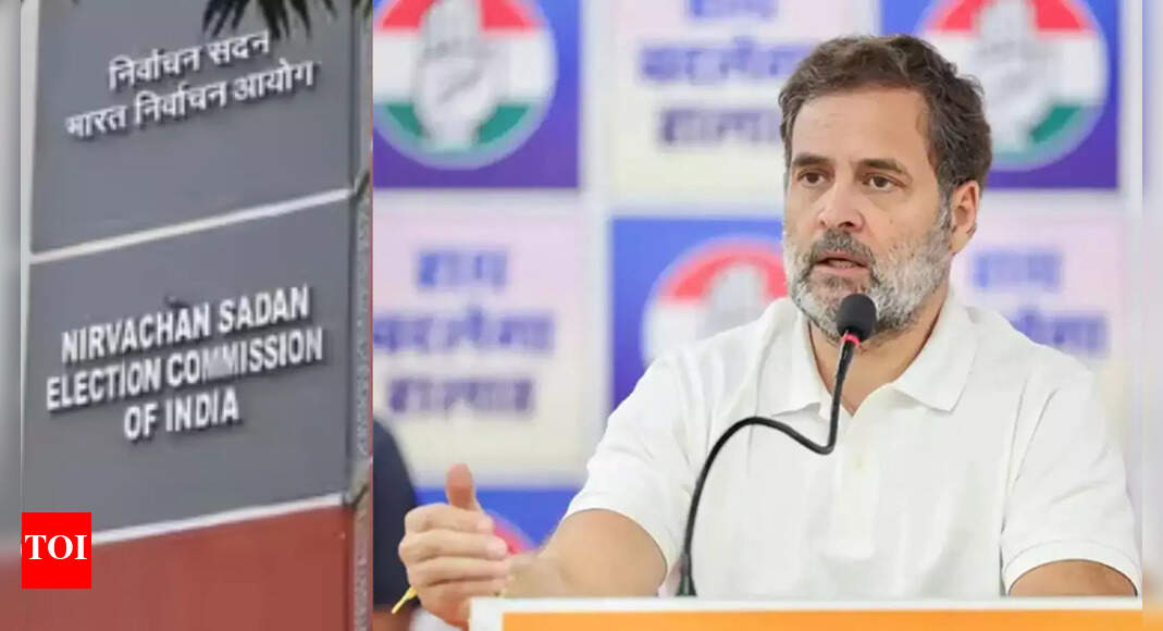 'Not one has filed a complaint': BJP slams Rahul Gandhi for ‘baseless’ voter list claims; CPI backs Congress’ charge saying, 'EC not a holy cow'