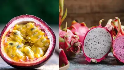டிராகன் பழம் Vs பேஷன் பழம்: எது ஆரோக்கியமானது மற்றும் உங்களுக்கு சிறந்தது?