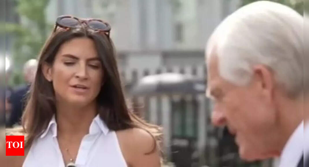 “Gerçekten iyi bir cevap mı?” CNN’den Kaitlan Collins, Hindistan oranlarının% 50’sine verdiği yanıt için Peter Navarro’yu kızartı