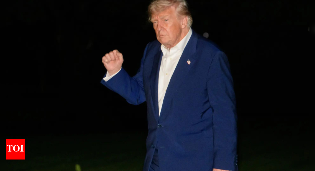 Trump tariffs: 17fective rate, $50bn monthly customs revenue
