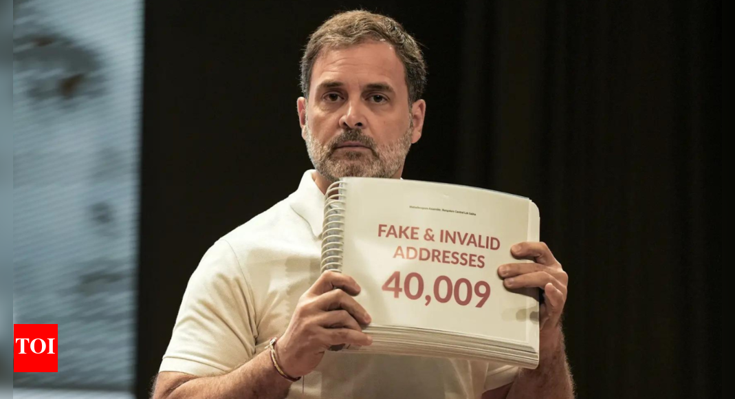Vote 'chori' charge: Rahul drops new video on how Congress investigated; reveals what the data shows