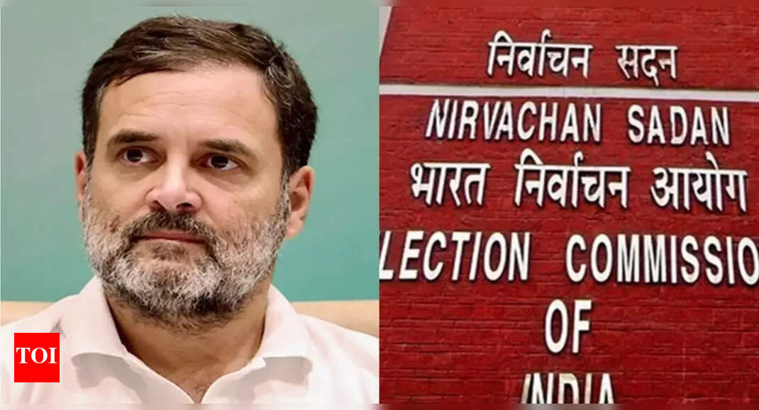Good enough for K'taka govt: EC takes jab at Rahul's vote theft claim