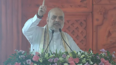 'Aadarsh beti, maa, raajmata .. ': Amit Shah invokes 'Maa Sita' in poll bound Bihar; attacks 'Lalu & company' for 'opposing' Operation Sindoor