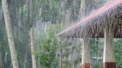  5 monsoon damage signs to watch out for