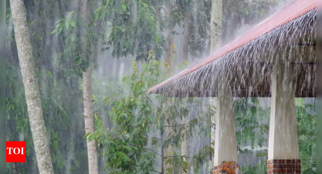 Don’t let the heavy rain wreck your home interiors: 5 monsoon damage signs to watch out for