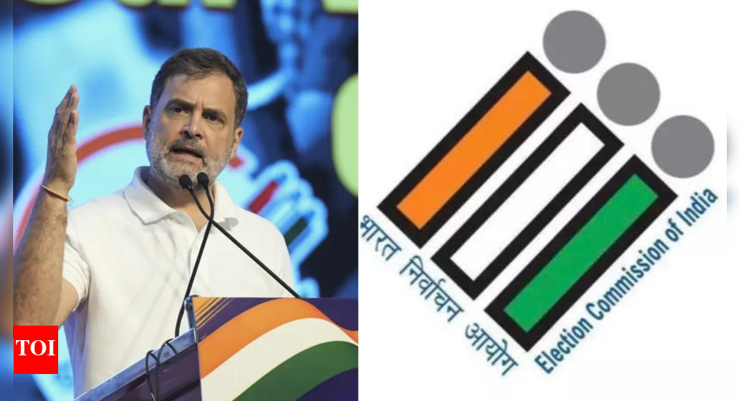 'Tired script': EC slams Rahul's 'vote theft' claim; cites 2018 SC decision