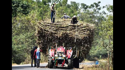 Cost of transporting sugarcane should not be borne by farmers: Mandya DC