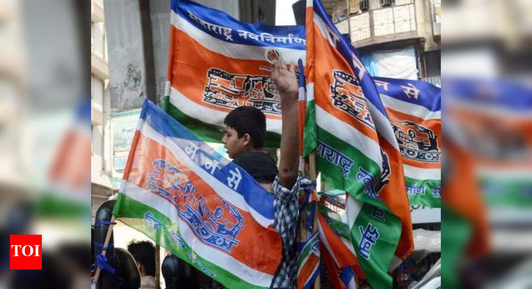 Marathi vs non-Marathi row: MNS men assault idli vendor in Kalyan; heated spat erupts on train