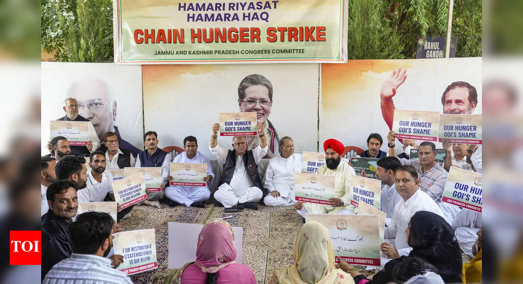 J&K Congress hunger strike: Tariq Karra begins campaign; demands restoration of statehood
