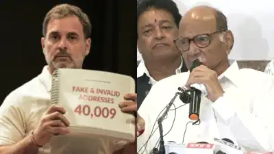 'Vote theft' row: After Rahul Gandhi's charge, Sharad Pawar says he was offered 160 'guaranteed' seats before Maharashtra polls