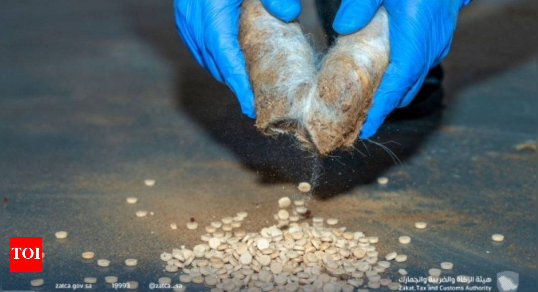 What is Captagon? Saudi customs seize over 400,000 pills hidden in sheep wool at Haditha border