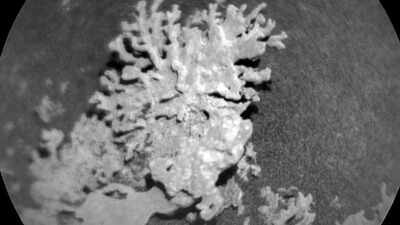 NASA’s Curiosity rover spots coral-like rock on Mars — here’s what it really means