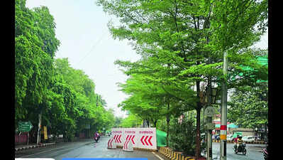 RTI reveals Agra Metro cut trees on MG, Mall Road without permission; FIR filed