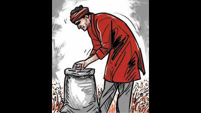 Fertilisers to be distributed from today in Jewargi and Yadrami