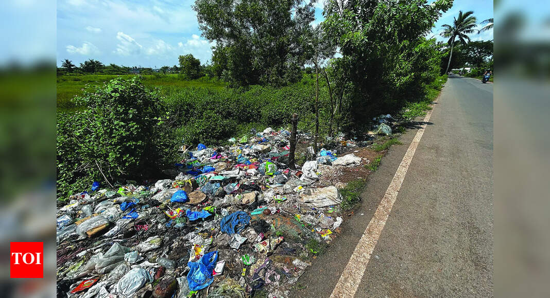 Finance row: SGPDA seeks to bypass MMC for waste collection