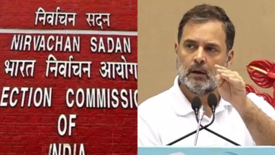  3 state CEOs to Rahul