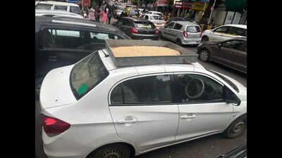 Dadar Kabutarkhana row: Mumbai man feeds pigeons on car roof, booked; Jain monk warns of hunger strike