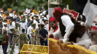 Bihar SIR War Erupts on Delhi Streets, Rahul and Priyanka Gandhi Detained During March to EC