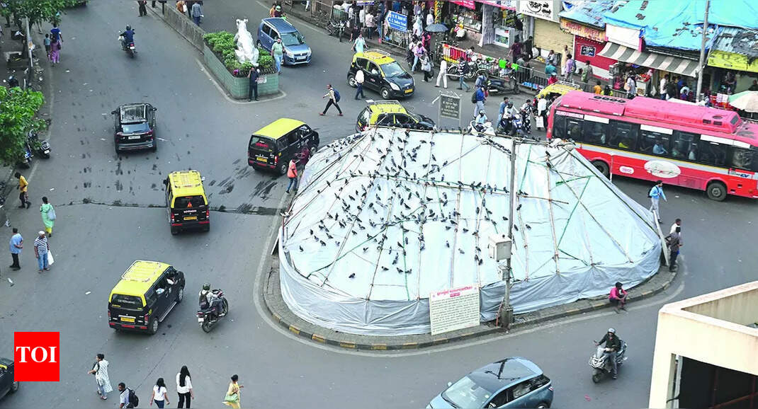 Jain Monk Threatens Action Over Maharashtra Pigeon Feeding Ban