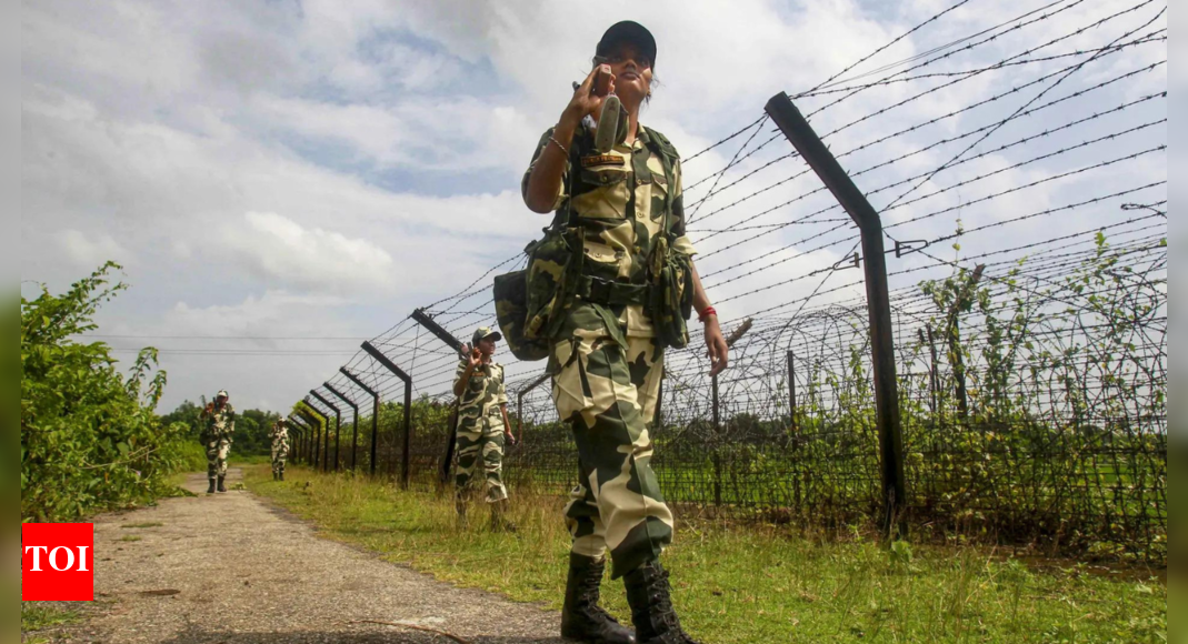 J&K: BSF troops shoot and injure ‘Pakistani intruder' in Kathua district