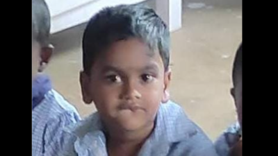 Guest worker’s son mauled to death by sloth bear in Valparai