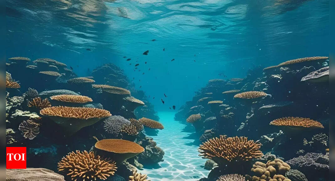 New study finds 117-million-year-old geological formations rewriting Atlantic Ocean history