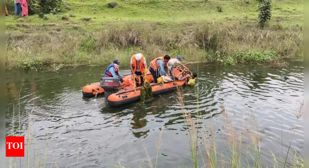 Farmer drowns while saving bulls from canal in Balaghat | Bhopal News ...