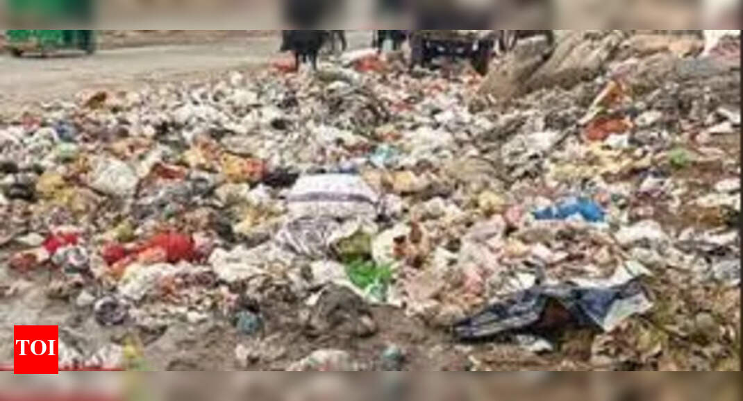 Gurgaon Waste Management: Now, councillors throw up hands as waste ...