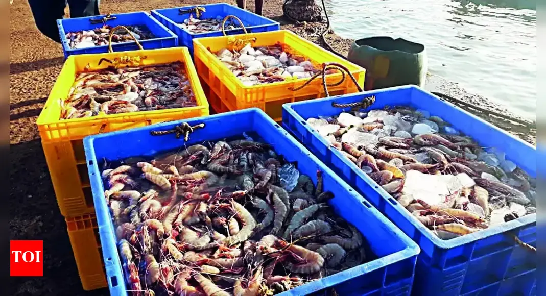 Seek new markets: Govt urges seafood exporters