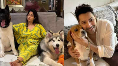 Janhvi Kapoor and Varun Dhawan speak out against the Supreme Court’s order to remove stray dogs from Delhi streets