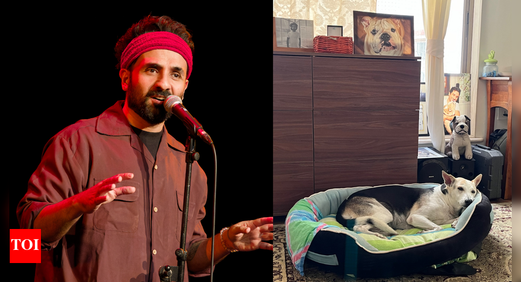 SC orders relocation; Vir Das appeals for stray dog adoption