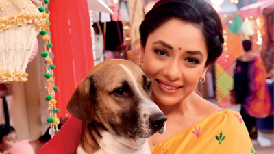 Anupamaa fame Rupali Ganguly Criticizes SC Verdict on Delhi Stray Dogs; says, “If We Remove Them Now, We Risk Losing Our Protectors”