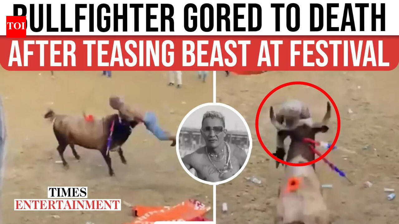 Bull Attacks Provocative Fighter; CHAOS in Packed Arena as ...