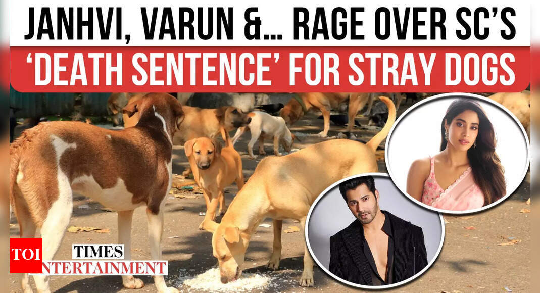 Celebrities React to Supreme Court's Stray Dog Shelter Mandate