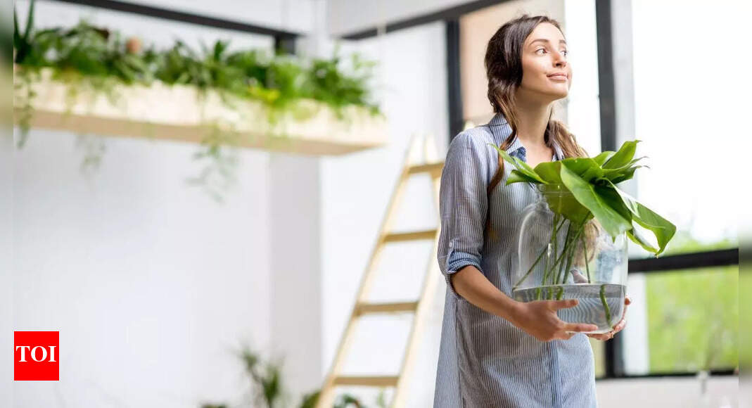 7 plants that take care of your mental health naturally |