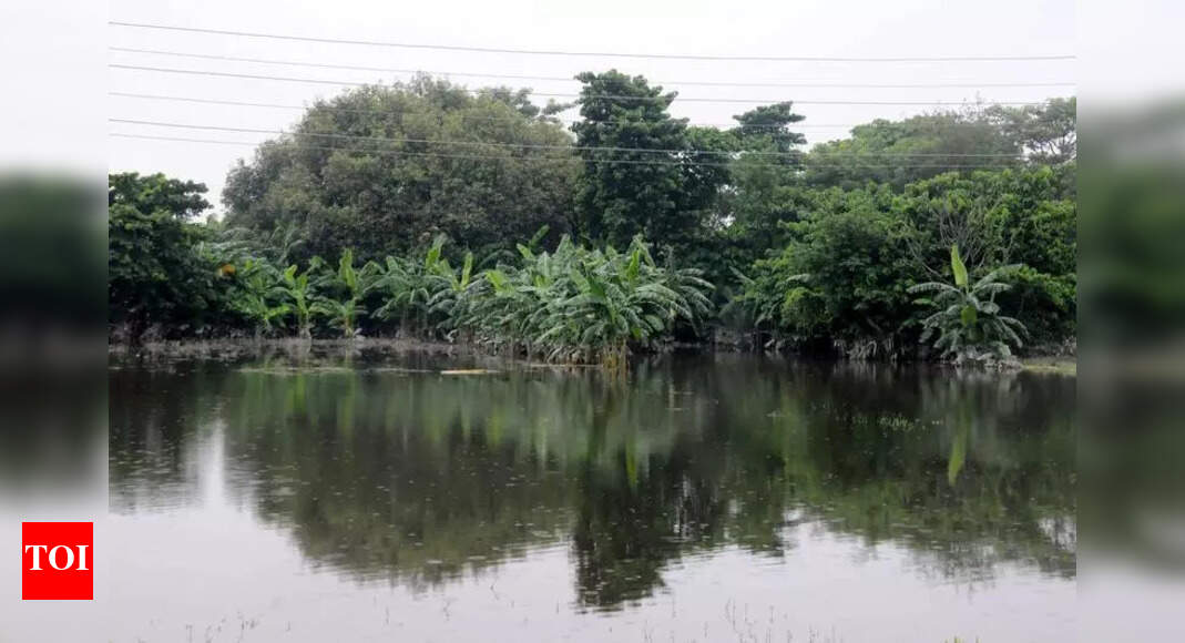 Hope emerges as floodwaters recede in Hajipur | Patna News - Times of India
