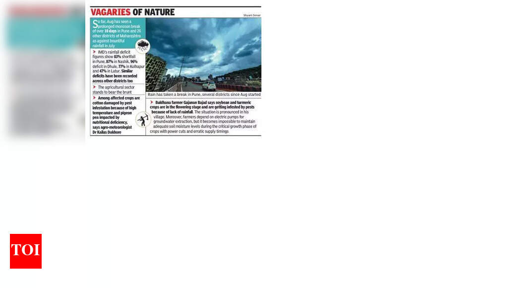 Crops wither amid rainfall deficit in Pune, 26 districts | Pune News ...
