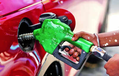 Oil min rejects claims on E20 fuel efficiency