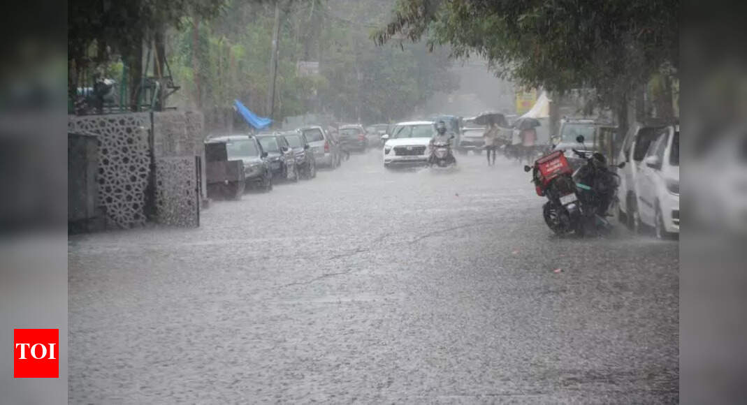 Chennai weather: Warm temperature with rain expected | Chennai News – Times of India