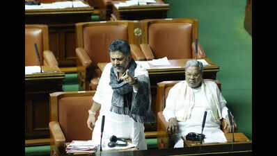 Bill proposes inheritance rights for devadasi children, outlaws practice