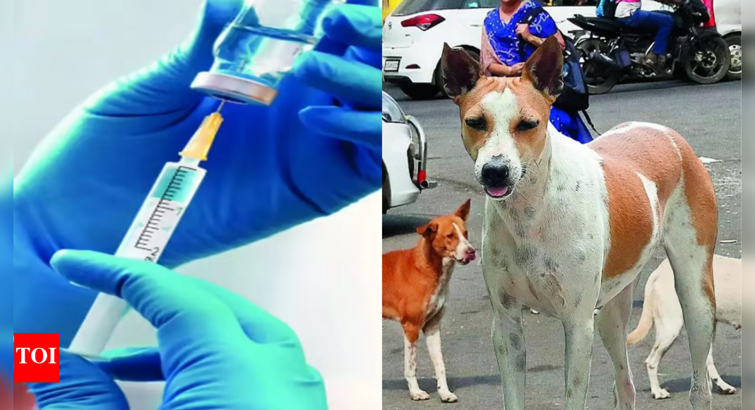 Lab-grown rabies antibodies show promise as safe alternative