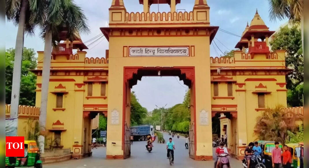 Ex-BHU dept head hires hitman to kill successor