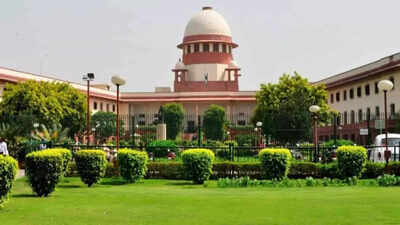Adoption law frustrating, needs to be simplified: Supreme Court