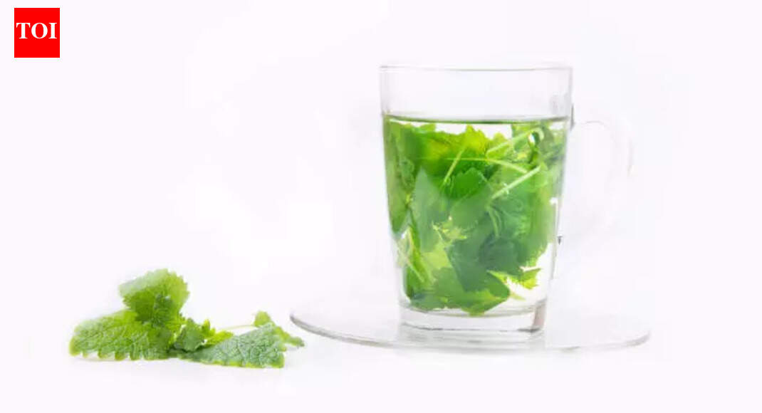 Dhaniya water for hair growth: The desi hack your hair has been waiting ...