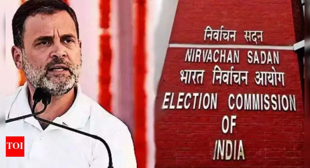 '1 person 1 vote exists since 1951': EC slams Rahul Gandhi, oppn's use of term 'vote chori'; seeks proof