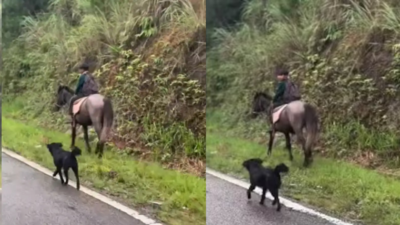 Watch: Meghalaya boy riding horse to school, faithful dog trots along; video melts hearts